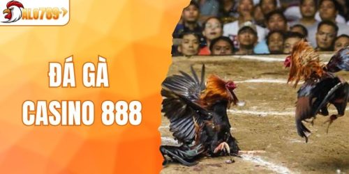 Đá Gà Casino 888 - Trải Nghiệm Trận Chiến Kịch Tính Chiến Kê