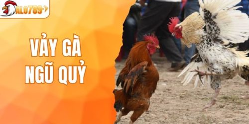Vảy Gà Ngũ Quỷ - Đặc Điểm Khả Năng Thi Đấu Thắng Lớn