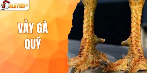 Vảy Gà Quý - Bí Quyết Nhận Biết Các Chiến Kê Cực Mạnh