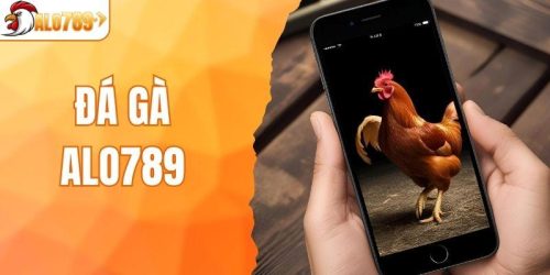 Đá gà ALO789 - Nơi Kết Nối Đam Mê Với Công Nghệ Hiện Đại