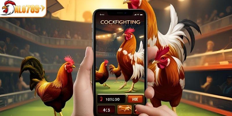 Tìm hiểu tổng quan sảnh đá gà ALO789