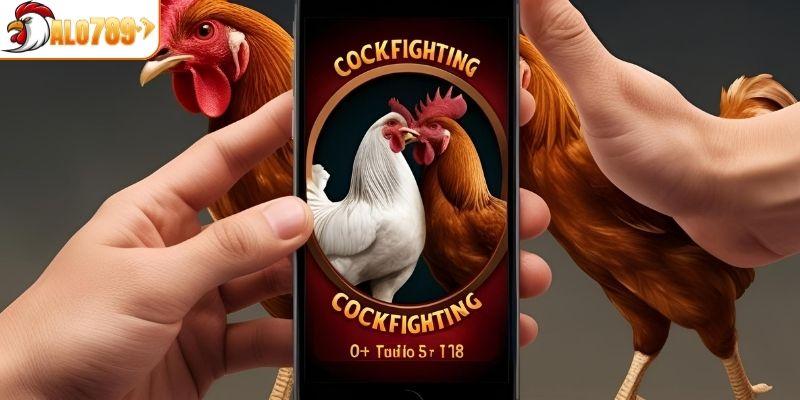 Những điểm hấp dẫn người chơi tham gia đá gà ALO789