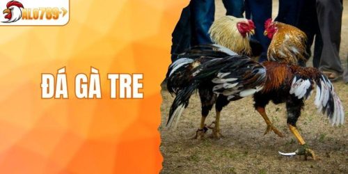 Đá Gà Tre ALO789 - Tìm Hiểu Các Chiến Thuật Để Thắng Lớn