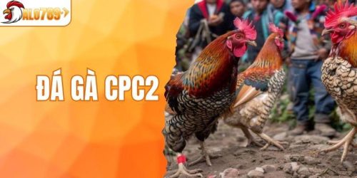 Đá Gà CPC2 - Sân Chơi Đẳng Cấp Và Kịch Tính Nhất 2025