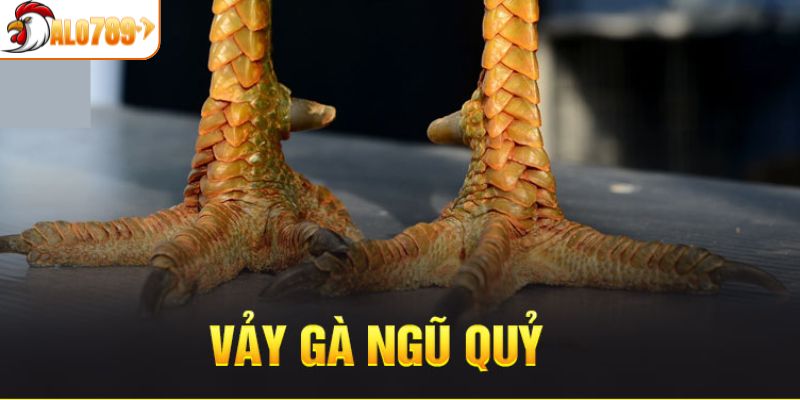 Đôi nét về vảy gà ngũ quỷ